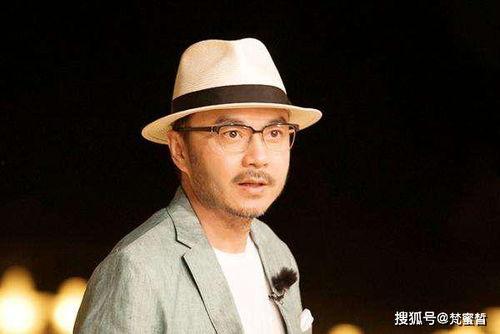 汪涵实力背景,实力与背景交织的综艺界传奇