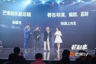 芒果娱乐采访,揭秘明星幕后故事与心路历程