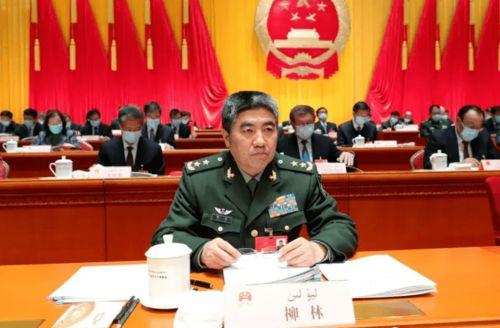 柳林个人资料,才华横溢的青年才俊，多领域成就斐然